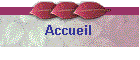 Accueil 