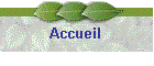 Accueil 